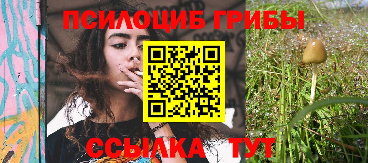 Саратов  Галлюциногенные грибы мухоморы  Вход с VPN 